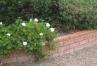 Coogee WAlandscaping-kerbs-and-edges-2.jpg; ?>